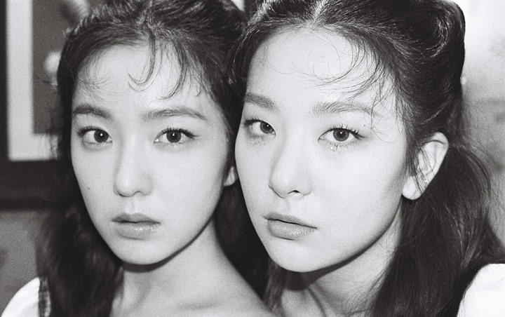 Sempat Ditunda Inikah Alasan Mv Irene Seulgi Red Velvet