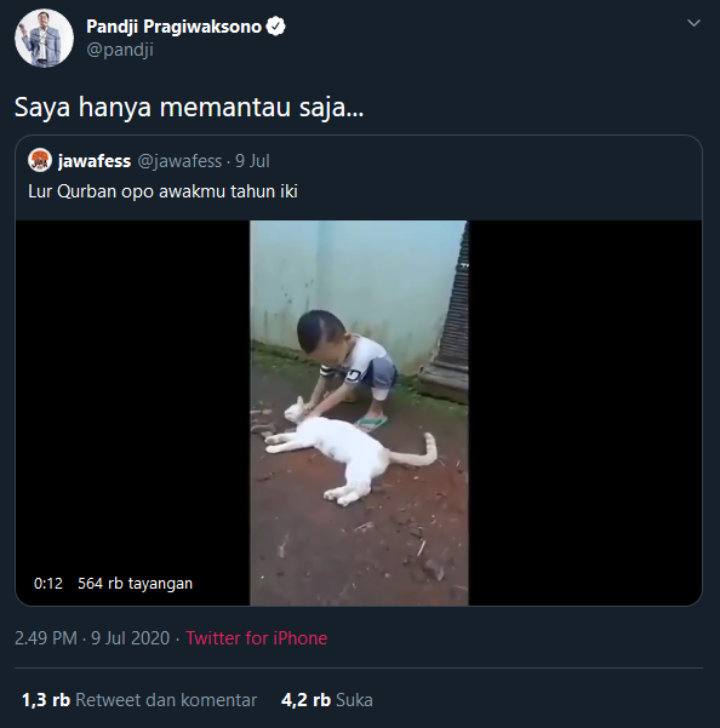 Pandji Pragiwaksono Bereaksi Lihat Video \'Kurban\' Kucing