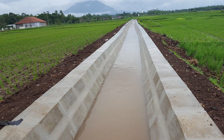 Bikin Takjub, Para Pria Ini Sulap Saluran Irigasi Penuh Sampah Jadi Kolam Ikan Nila Hingga Koi