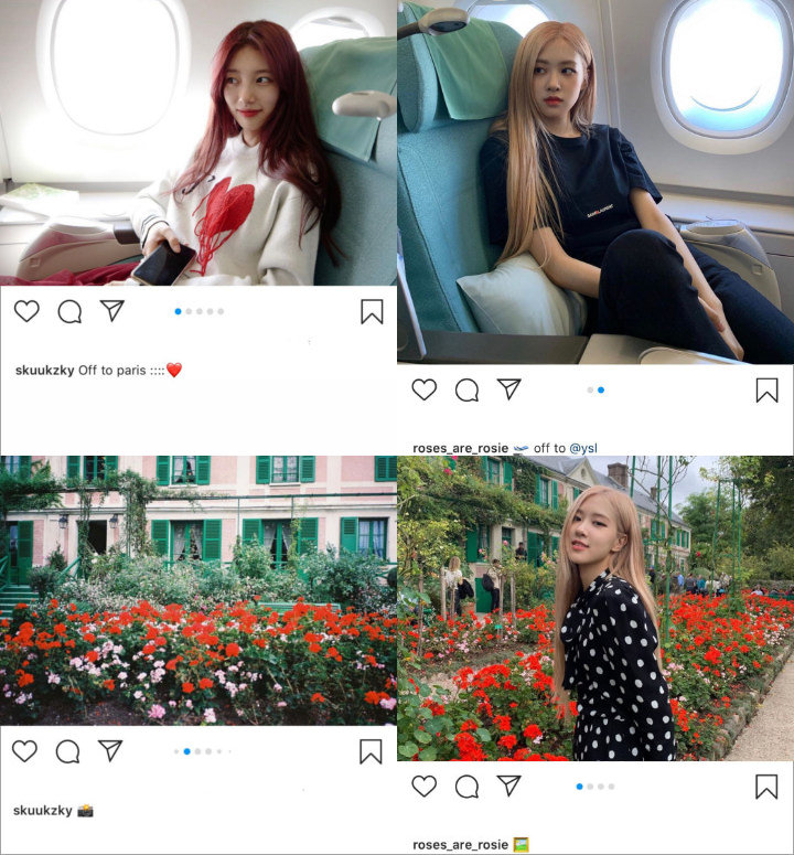 Rose