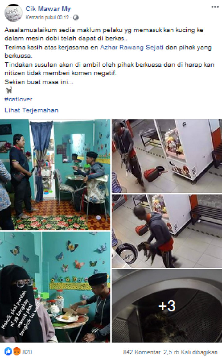 Tega Masukkan 3 Kucing ke Dalam Mesin Cuci, Pria Ini Akhirnya Diringkus Polisi