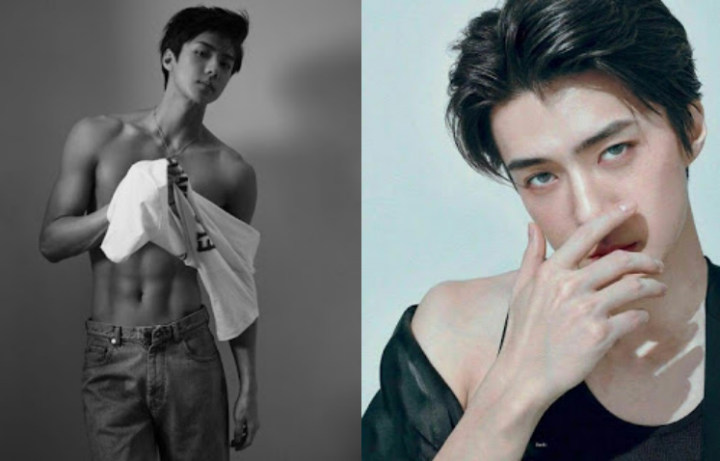 Antara Suho, Chanyeol dan Sehun, Netizen Bingung Pilih Siapa Visual EXO
