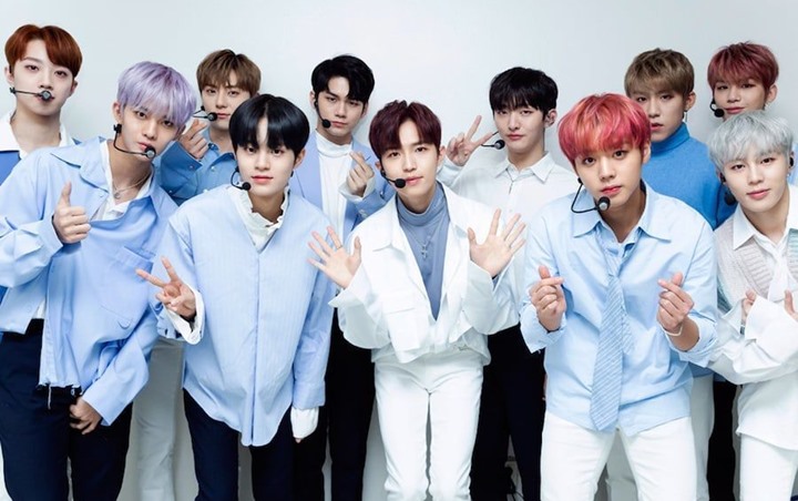 Semua Member Wanna One Bikin Takjub Pernah Viral di Era 'Produce 101' Season 2