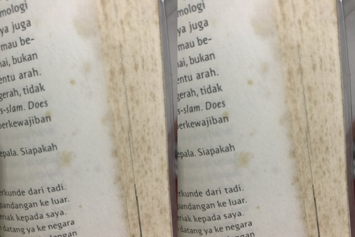 Menghilangkan Jamur Buku