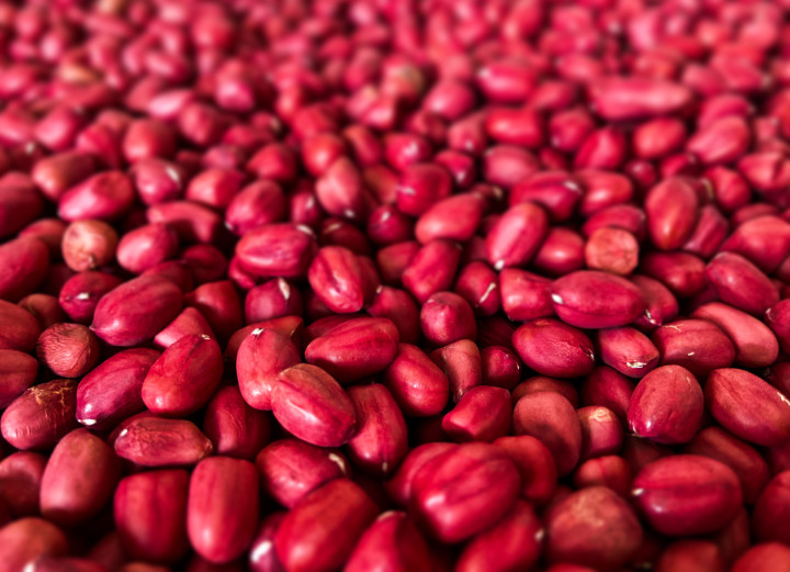 Kacang Merah