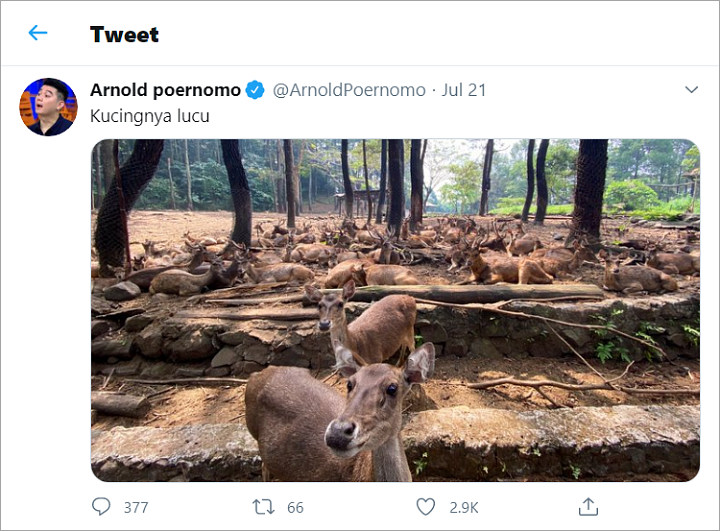 Chef Arnold Bikin Emosi Gara-Gara Guyonan di Twitter, Recehnya Kebangetan