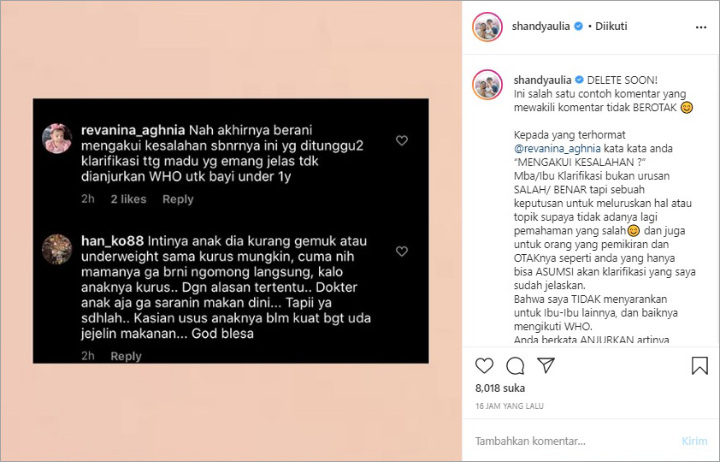 Shandy Aulia Muak dengan Komentar Nyinyir Soal Sang Anak: Nggak Ada Otak!