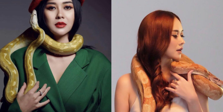 Gaya Menantang Aura Kasih Foto Bareng Reptil, Pose Kadal Bikin Salah Fokus