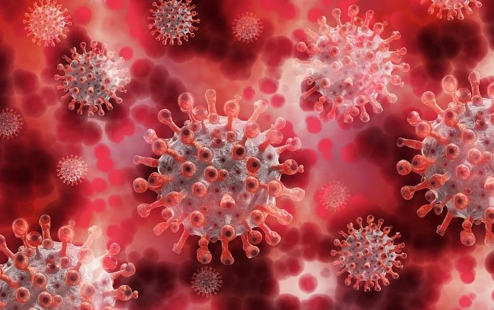 WHO Klaim Penyebaran Virus COVID-19 Tak Terpengaruh Musim