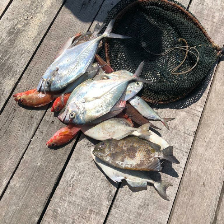Ikan Tangkapan Hamish Daud?