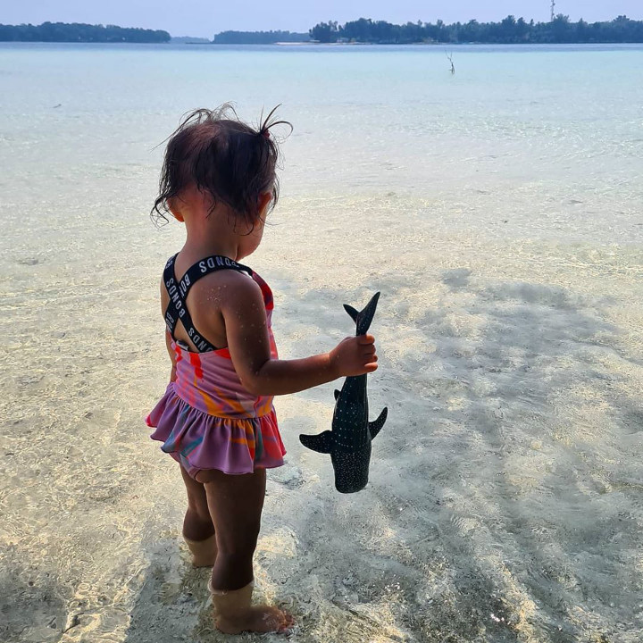 Zalina dan Hiu