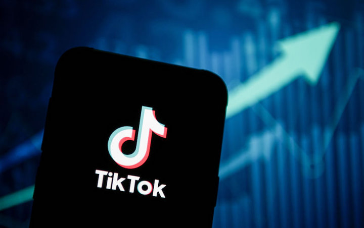 Lima Wanita Mesir Divonis Penjara 2 Tahun Karena Main TikTok