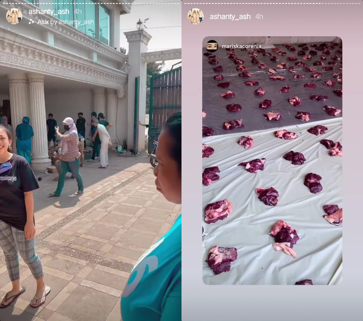 Wajah Ashanty Panik Abis, Sapi Kurbannya Ngamuk Saat Akan Disembelih