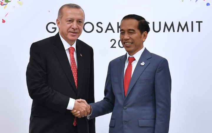 Presiden Turki Erdogan Hubungi Jokowi untuk Kerja Sama Tangani COVID-19