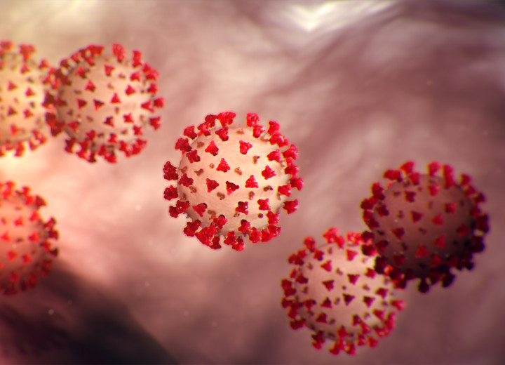 Virus Corona