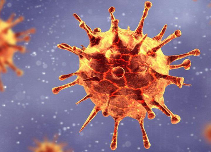Virus Corona