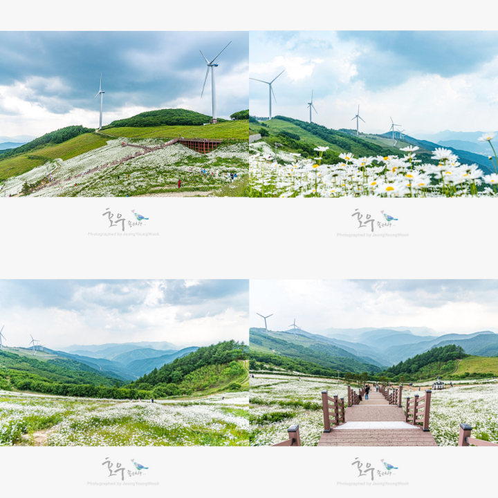 Luar Biasa Indah, Ini Lokasi Syuting Camping Seo Ye Ji dan Duo Bersaudara \'It\'s Okay to Not Be Okay\'