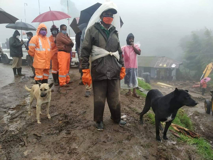 Anjing Menanti Majikan 2
