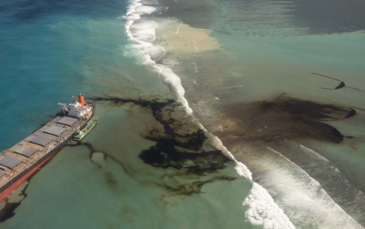 Warga Mauritius Sumbang Rambut untuk Atasi Tumpahan Minyak di Laut, Bagaimana Caranya?