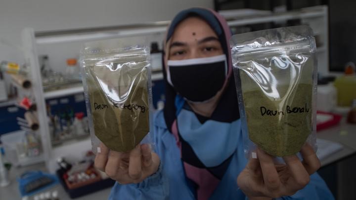 Obat Herbal LIPI