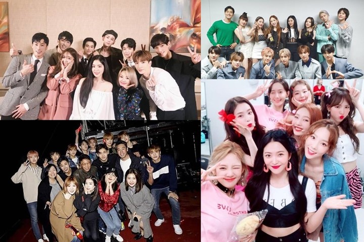 Alasan Tak Terbantahkan SM Dijuluki Taman Bunga, Komentar Fans SuJu Bikin Ngakak