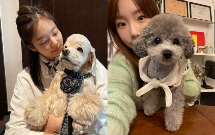 Anjing Jennie BLACKPINK dan Tae Yeon SNSD Main Bersama, Pemiliknya Hangout Bareng?
