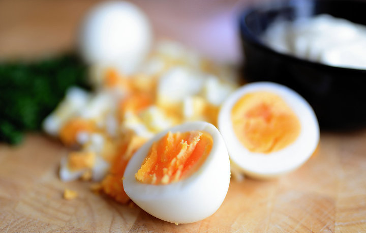 Putih Telur