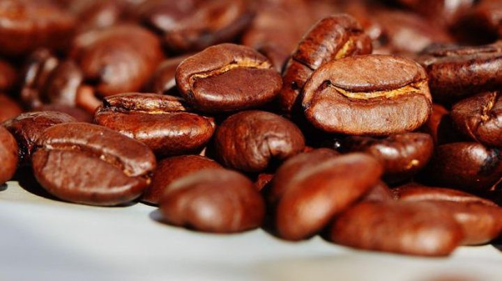 Kopi Toraja