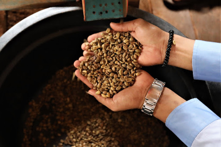 Kopi Liberika Rangsang Meranti