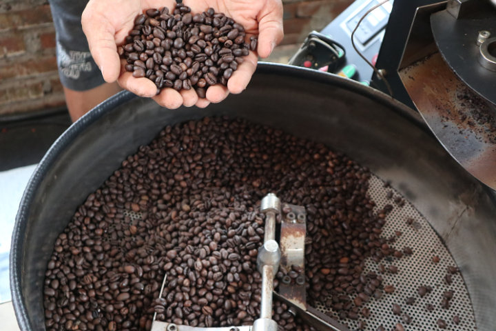Kopi Robusta Temanggung