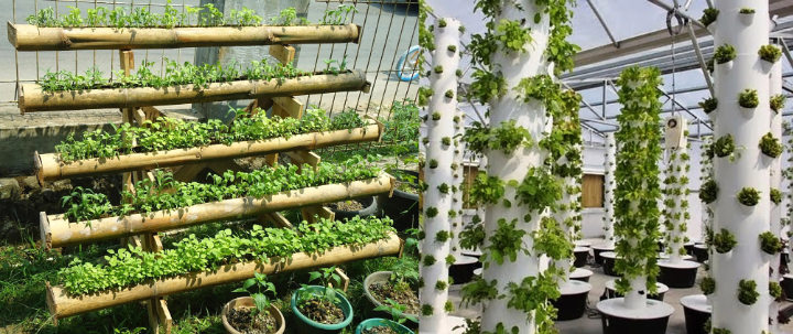Gunakan Teknik Berkebun Vertikal