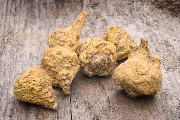 Akar Maca