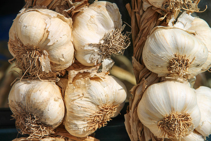Bawang Putih