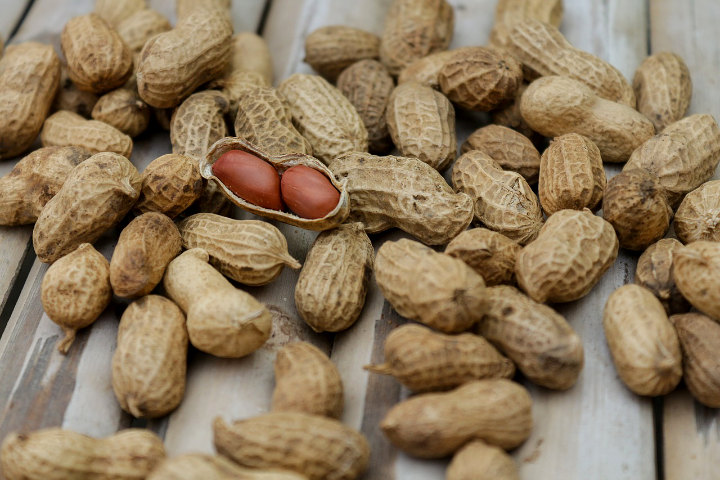 Kacang-Kacangan