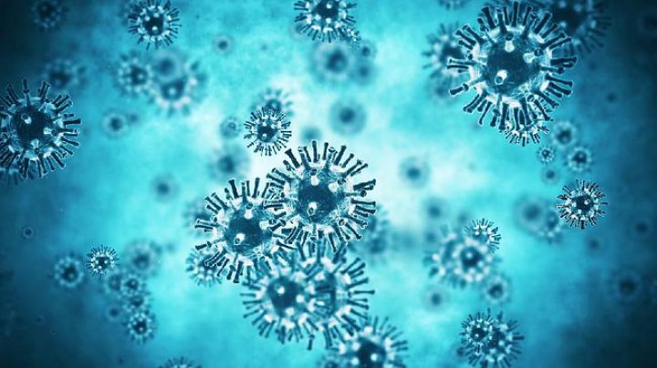 Virus Corona