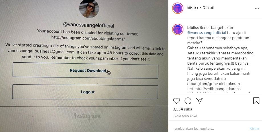 Akun IG Vanessa Angel Mendadak Hilang, Suami Curhat Soal Kehilangan Ladang Uang