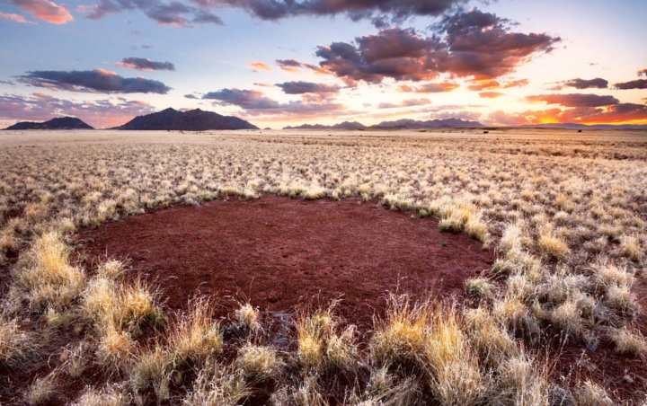 Dipercaya Sebagai 'Jejak Kaki Dewa', Ilmuwan Ungkap Misteri Lingkaran Peri di Gurun Namib