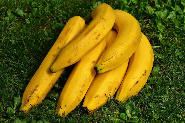 Pisang