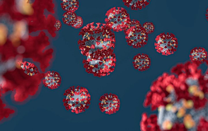Virus Corona