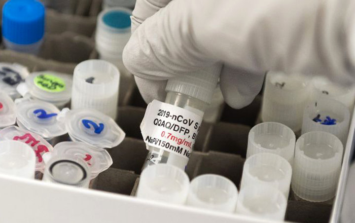 Harga Vaksin Corona Buatan Dalam Negeri Diperkirakan Capai Rp 75 Ribu per Dosis