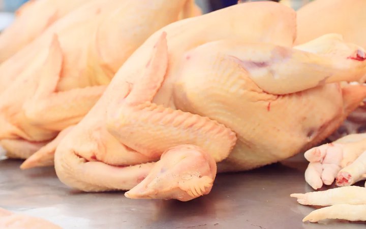 Jangan Salah Beli Lakukan 7 Tips Ini Untuk Memilih Daging Ayam Segar Dan Berkualitas Baik Jangan Salah Beli Lakukan 7 Tips Ini Untuk Memilih Daging Ayam Segar Dan Berkualitas Baik