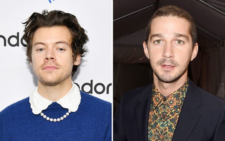 Harry Styles Gantikan Shia LaBeouf di Film 'Don't Worry Darling' Garapan Olivia Wilde