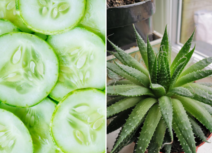 Face Mist Timun Dan Aloe Vera