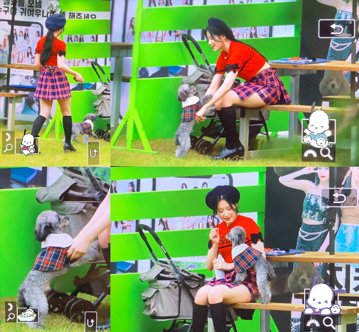 Interaksi Shuhua (G)I-DLE dan Anjingnya di Lokasi \'ISAC 2020\' Dibilang Imut Banget