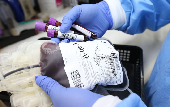 PMI Harap Penyintas Corona Rela Donorkan Plasma Darah Demi Selamatkan Nyawa, Ini Prosedurnya