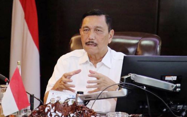 Cara Jitu Luhut Kendalikan Corona RI: Minta Disiapkan Hotel Berbintang untuk Isolasi