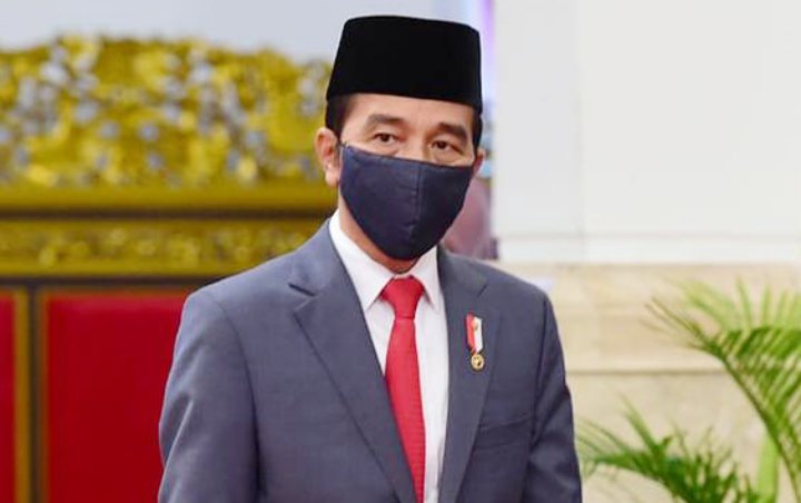 Alasan Jokowi Mengadakan Pilkada