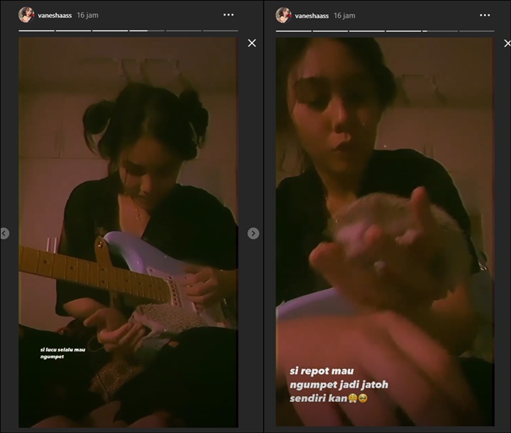 Story Vanesha