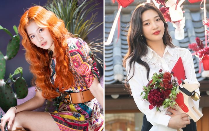 Sana TWICE dan Joy Red Velvet Dibilang Punya Kemiripan Tuai Komentar Tak Setuju
