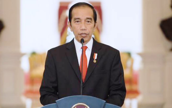 Tak Hanya Kalimantan, Jokowi Mau Perluas Food Estate Sampai ke NTT dan Papua